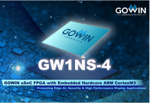 GOWIN GW1NS-4