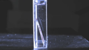 Artificial Leaf Mimics Photosynthesis To Produce Energy