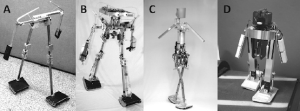 Embodiment of Artificial Intelligence Improves Cognition