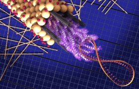 Viruses harnessed to fabricate solar cells