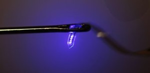 Tiny Injectable LEDs Help Neuroscientists Study the Brain