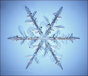 Fact or Fiction: Combustible Ice