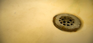 #EcoMonday tip 1: Pee in the Shower!