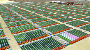 Schiphol Starts Algae Production