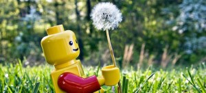 The Origin of Life? Software Not Hardware