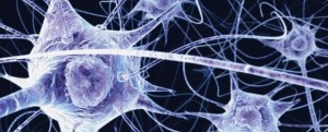 Carbon Microthread Connects Brain to Machine