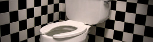 Toilet of the Future