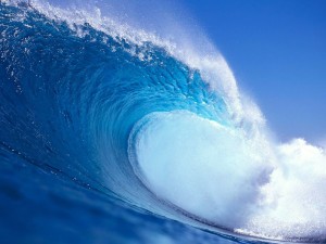 Harnessing the Power of the Sea