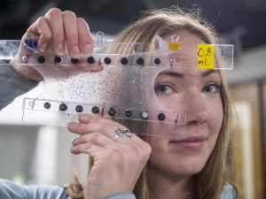 'Soft robots' imitate biological muscles