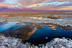 Salar de Atacama in Chile. By Francesco Mocellin. CC BY-SA 3.0 licence