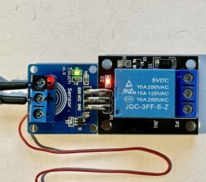 The Gladly Touchable Electric Wire