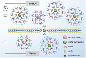 Cellular Biology: Electrons & Ions - same difference © lben.epfl.ch