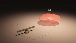 Kleinster und schnellster Nanomotor der Welt