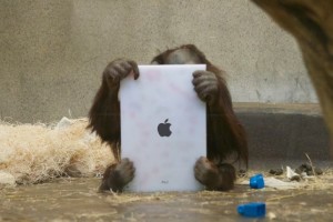 Apps for Apes