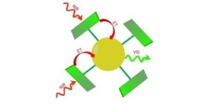 Antennenmoleküle verstärken IR-Licht