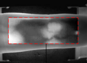 Bild der Venen eines Fingers mit Kontrastverstärkung.
Bild: Edith Cowan University
/ Wengcheng.