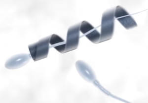 Die ferngesteuerte Spirale rollt sich um die Spermien und führt sie ans Ziel
