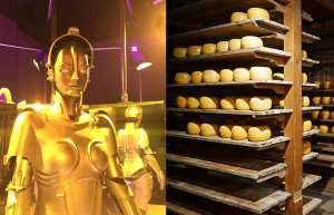 Gouda & Metropolis-Roboter. Bild: Kompositum von Helge Klaus Rieder (CC 1.) / Matt Brown (CC 2.0) aus Wikimedia.