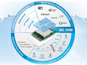 Neue Plattform – kaum da, schon tot...