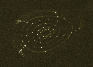 Geschlossene, ineinander liegende magnetische Flächen - sichtbar gemacht durch einen bewegten Fluoreszenzstab. Bild: IPP, Matthias Otte