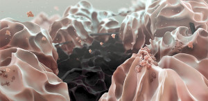 Mikroskopisches Falschfarbenbild: Die schwarze Graphenoxid-Elektrode umringt von Lithiumhydroxid-Partikeln (rosa). Bild: Liu et al., Science