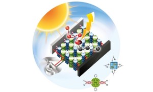 Erste metall-organische Solarzellen