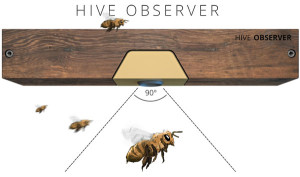 Beela Hive Observer