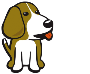 Projekt-Nr. 29: BeagleBone Black, die Serie