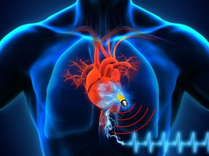Supercondensateur biologique : pacemaker inépuisable