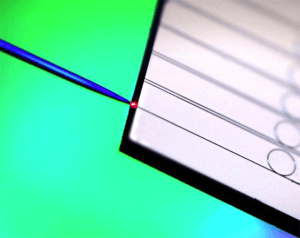 Des micro-résonateurs en nitrure de silicium sur un puce reliés à une fibre optique © Victor Brasch/Erwan Lucas/EPFL