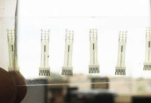 Électrodes en carbone vitreux. Photo: Sam Kassegne