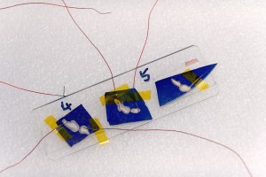 Tellurène : un nouveau graphène?