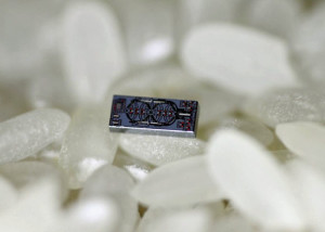 Nano-gyroscope optique
