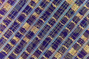 Vue au microscope d'un microprocesseur en nanotubes de carbone. Photo : Felice Frankel / MIT.