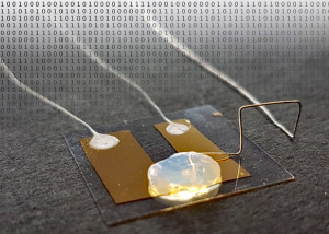 Un atome = un transistor