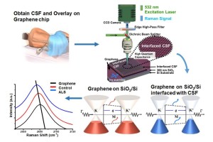 Le graphène, outil de diagnostic médical