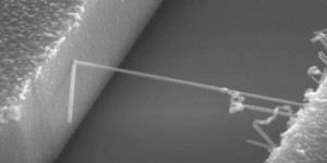Nanodraad-transistors voor toekomstige robuuste elektronica