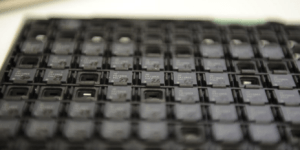 Open-source processor voor IoT-apparatuur