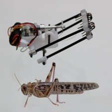 Robot-sprinkhaan © aftau.org