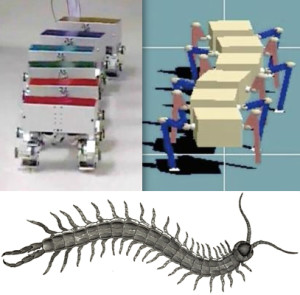 Advantage of straight walk instability in turning maneuver of multilegged locomotion: a robotics approach