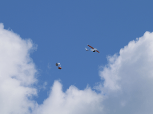 Zipline’s onbemande luchtvoertuig