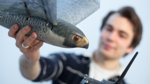 Autonome Robird stap dichterbij