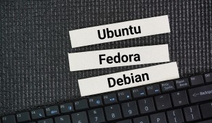 Embedded Linux: Expert Insights & Beginner Challenges