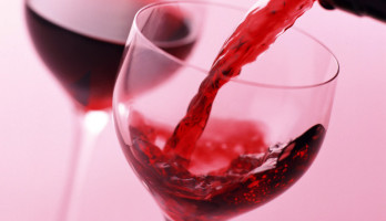 Organic Wine Webshops; Enjoy Your Wine Responsibily!