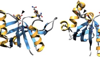 Gamers Solve Problem That Riddled Scientists For 15 Years