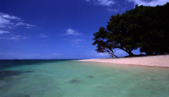 Climate Finance Remains Tough Issue in COP21 Negotiations