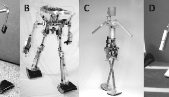 Embodiment of Artificial Intelligence Improves Cognition