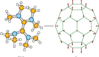 Organic Electronics: The Secret of Organic Magnets Unlocked