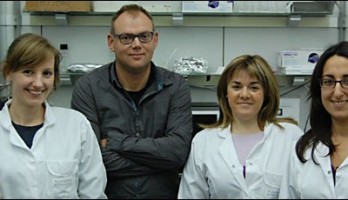 New Thin Film Solar Cell is Cheap and Efficient