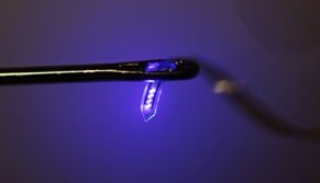 Tiny Injectable LEDs Help Neuroscientists Study the Brain